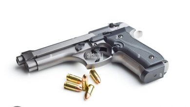 Photo of सिम्रौनगढ बाट हतियारधारी समूह पक्राउ