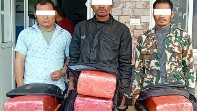 Photo of बारामा  लागू औषध गाँजा सहित ४ जना पक्राउ