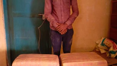 Photo of बाराको पचरौता लगाएत विभिन्न ठाउँ बाट ३६७ किलोलागू औषध गाँजा सहित ५ जना पक्राउ