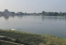 Photo of सिम्रौनगढको कंकाली पोखरीमा मरेका माछा व्यवस्थापन नहुँदा दुर्गन्ध, स्थानीयको स्वास्थ्यमा जोखिम