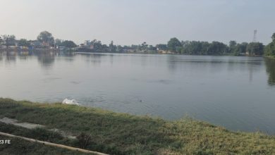 Photo of सिम्रौनगढको कंकाली पोखरीमा मरेका माछा व्यवस्थापन नहुँदा दुर्गन्ध, स्थानीयको स्वास्थ्यमा जोखिम